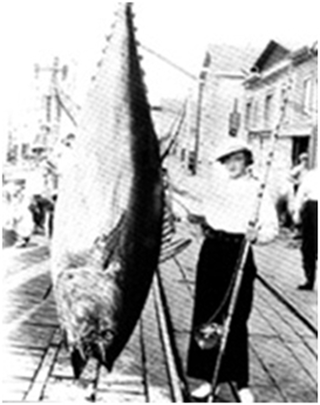 pennfishing1.png